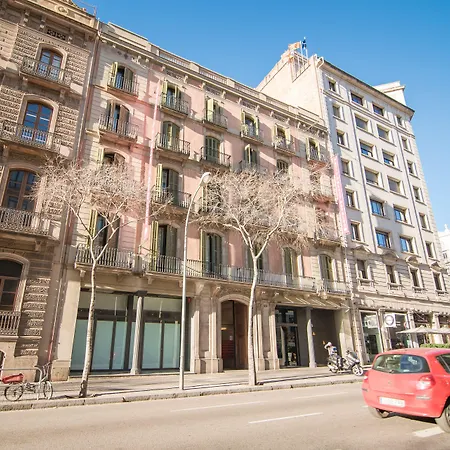Icon Bcn-2